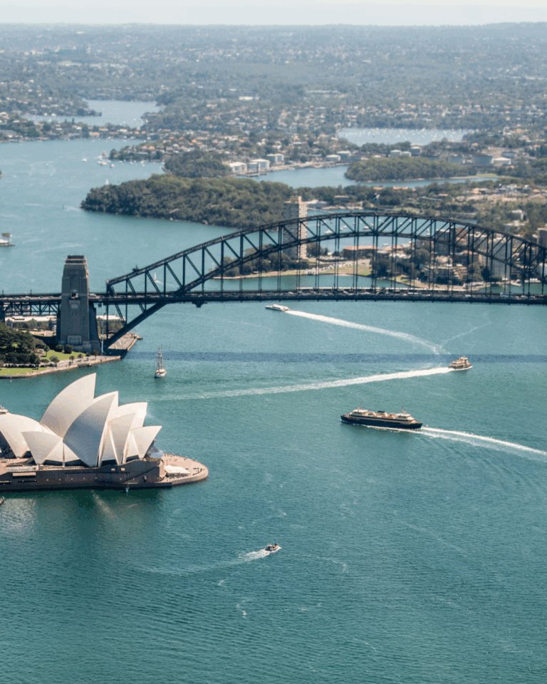 Sydney Harbour Traffic Briefly Halts as Curious Whale Drops By (VIDEO)
