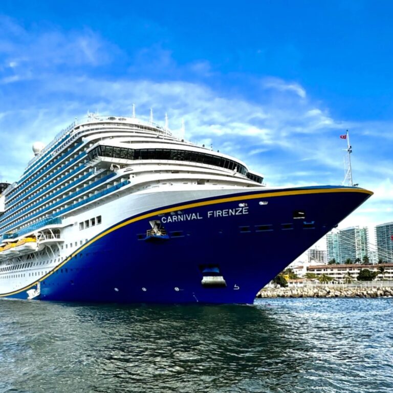 Seriously? Again? Another Massive Brawl Erupts Outside Long Beach Cruise Terminal Just Before Ship Departure