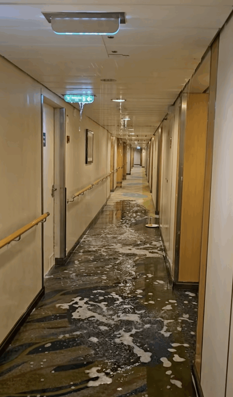 Flood Chaos on Royal Caribbean’s Allure of the Seas Caught on Camera — Here’s What Really Happened!