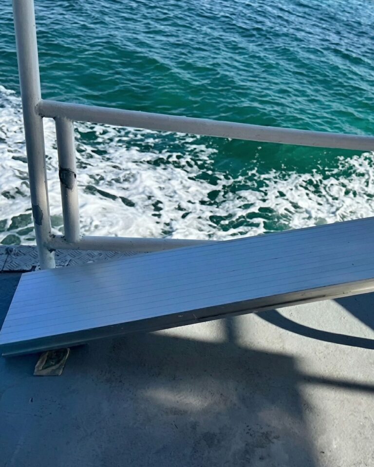 Carnival Sued After Guest Says Bench Collapsed During Popular Pig Excursion