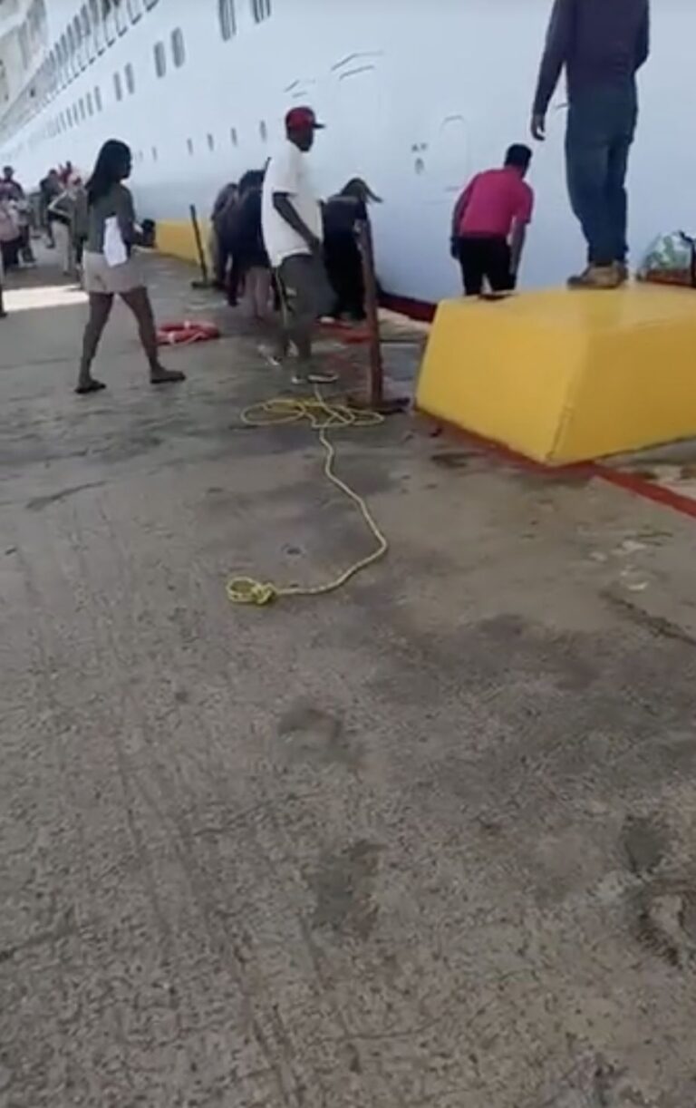 Carnival Cruiser Jumps Into Ocean to Save Drowning 84-Year-Old as Crew Stands By