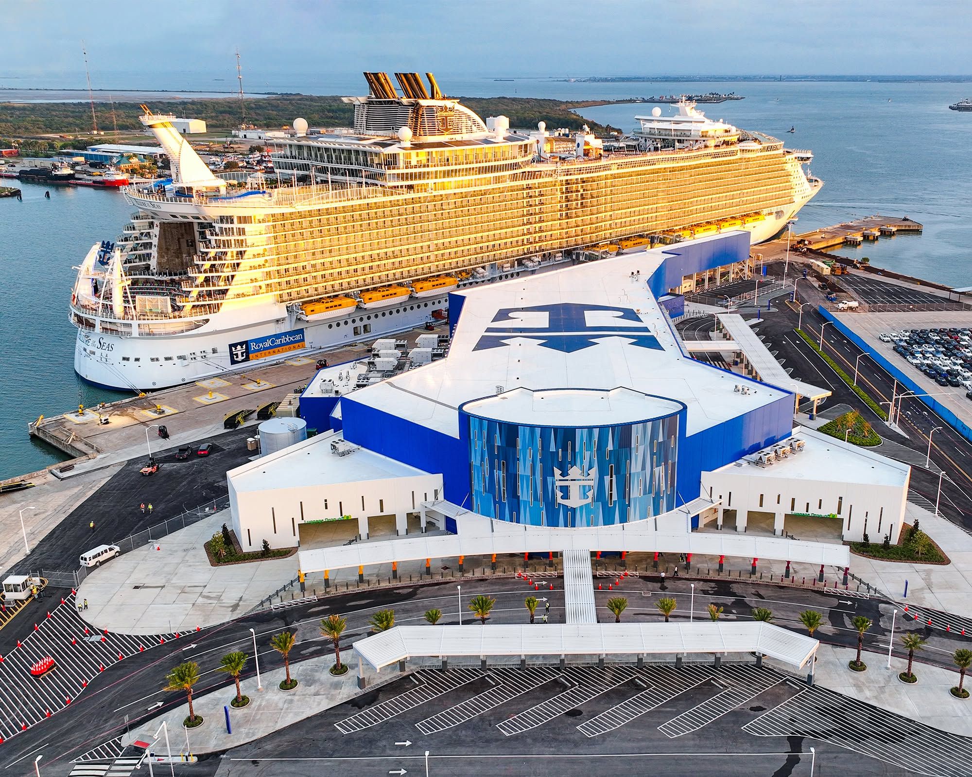 Royal Caribbean Cruise Passengers Return to Their Vehicle and Find It Overrun With Spiders