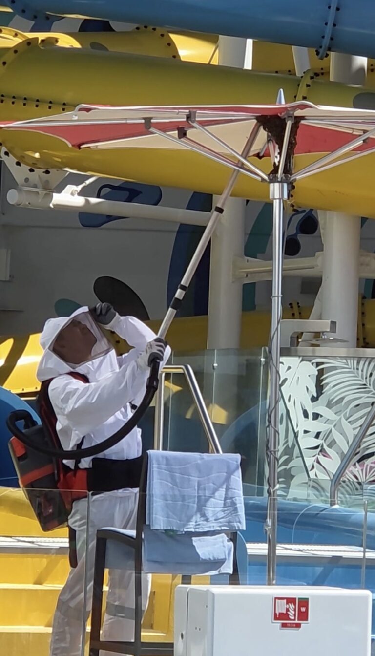 A Bee Swarm Just Took Over Royal Caribbean’s Most Popular Ship On Boarding Day